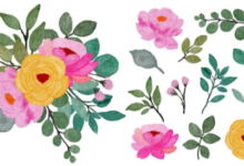 clipart:-ytl2dttkty= flowers
