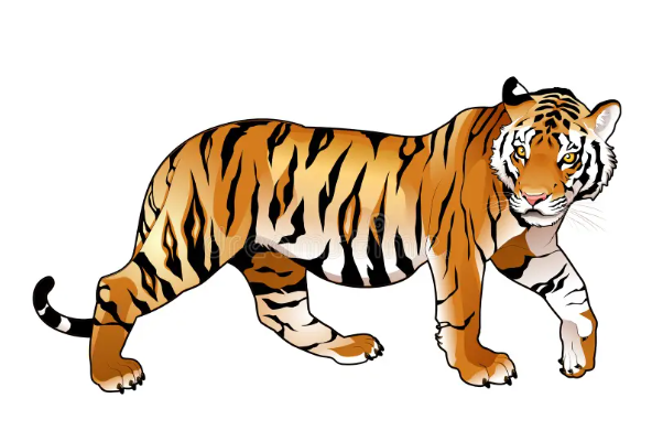 Clipart:10uq3lqth54= Tiger