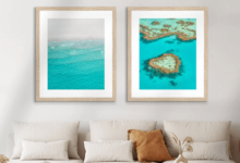 Choosing Affordable Wall Art Prints: A Guide to Perfect Pairings