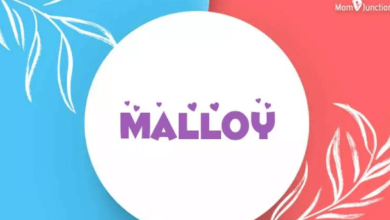 Mal Malloy Bio: Who Is Mal Malloy