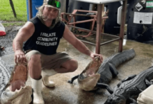 Stalekracker Net Worth