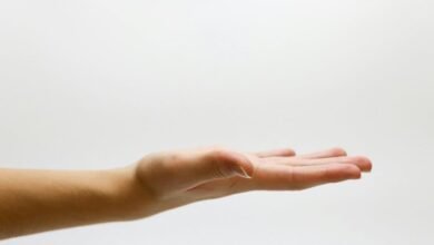 support request number issued